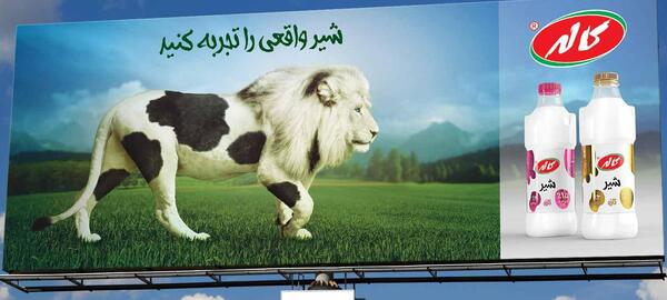 عکس شرکت بچه