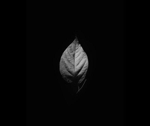 عکس پروفایل black