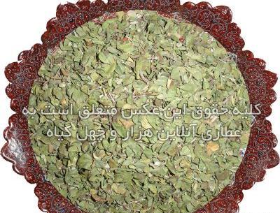 عکس تصویر آویشن شیرازی