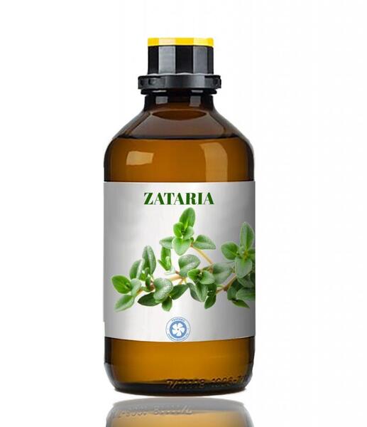 عکس تصویر آویشن شیرازی