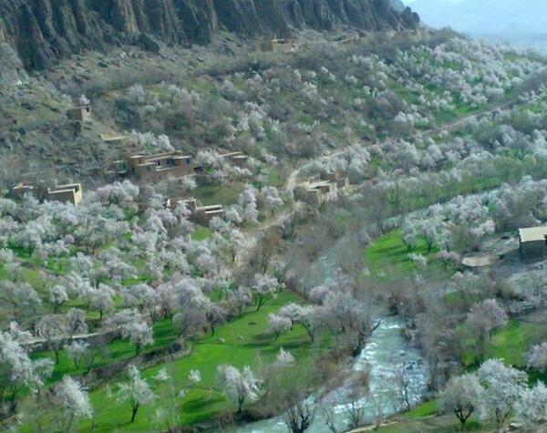 عکس افغانستان دایکندی تمران