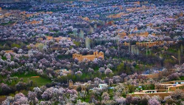 عکس افغانستان دایکندی تمران