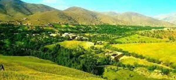 عکس افغانستان دایکندی تمران