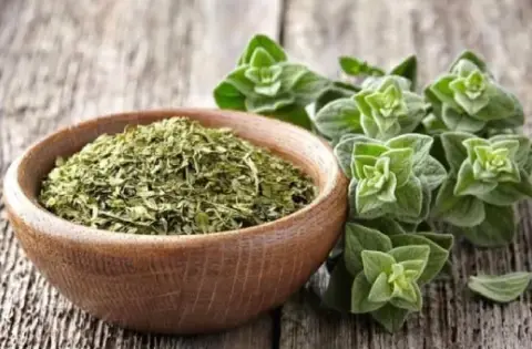 عکس تصویر آویشن خشک