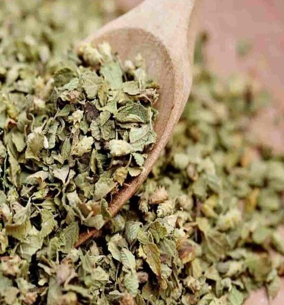 عکس تصویر آویشن خشک