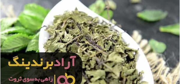 عکس نعناع فلفلی خشک