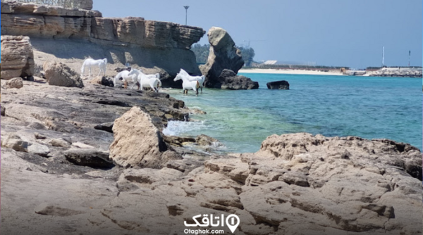 عکس دریای جنوب ایران