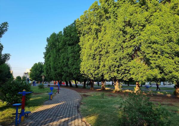 عکس از طبیعت اهواز
