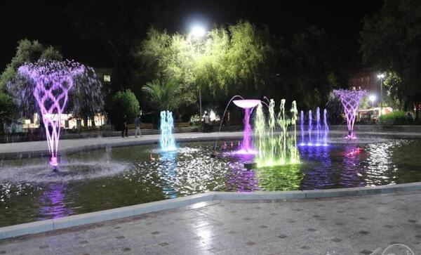 عکس زیتون کارمندی اهواز