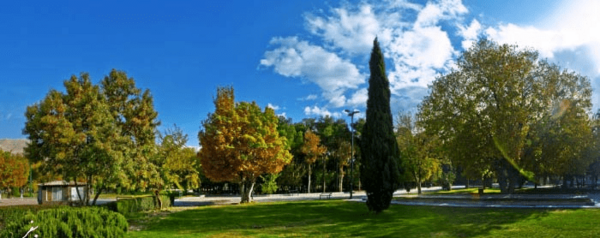 عکس دریاچه پارک آزادی شیراز