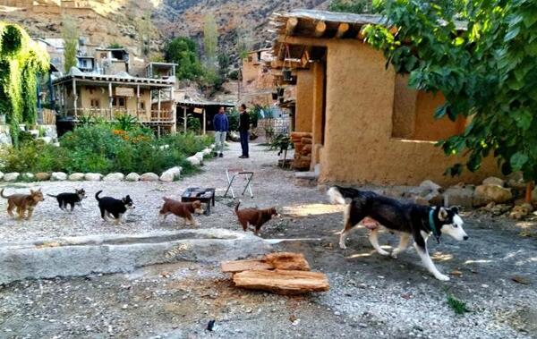 عکس آزادشهر گلستان