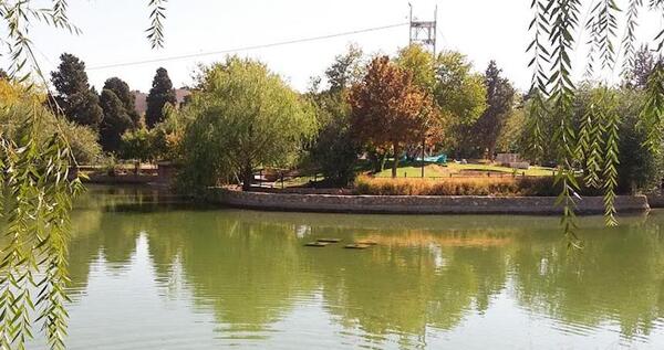 عکس از پارک آزادی شیراز