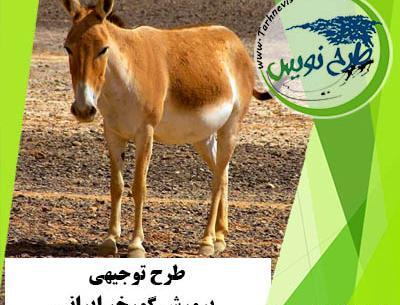 عکس گورخر ایرانی