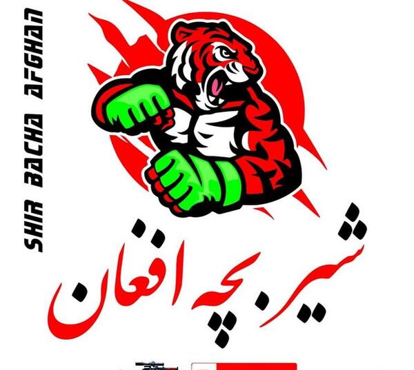 عکس شیر افغانستانی