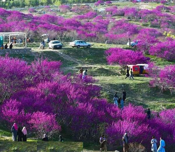 عکس شهر پروان افغانستان