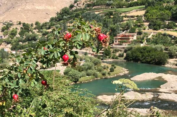 عکس از دره پنجشیر افغانستان