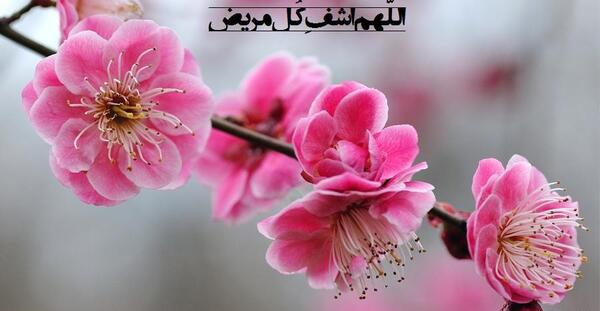 عکس اللهم شافی وعافی کل مریض