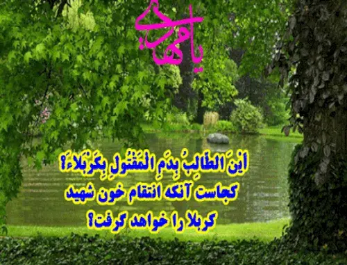 عکس آجرک الله یا صاحب الزمان فی مصیبت جدک الحسین