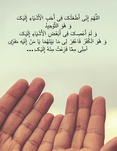 عکس واقعی امام علی نی نی سایت