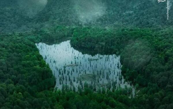 عکس از فلات ایران