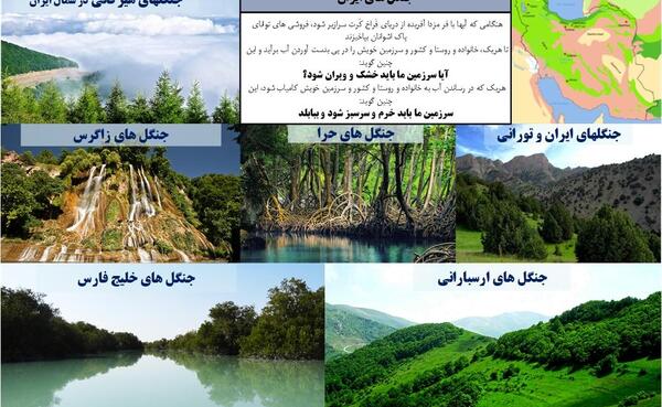 عکس بزرگ ترین جنگل ایران