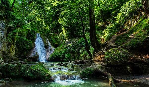 عکس بزرگ ترین جنگل ایران