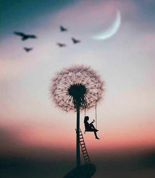 عکس قاصدک غمگین