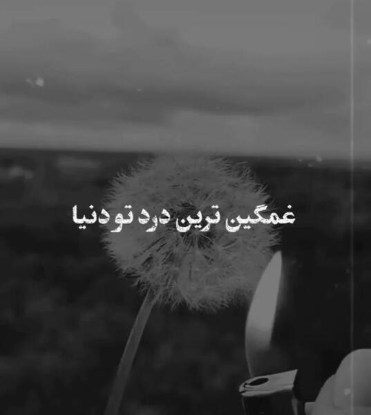 عکس قاصدک غمگین