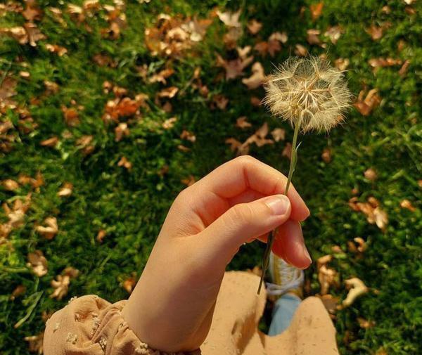 عکس پروفایل قاصدک غمگین