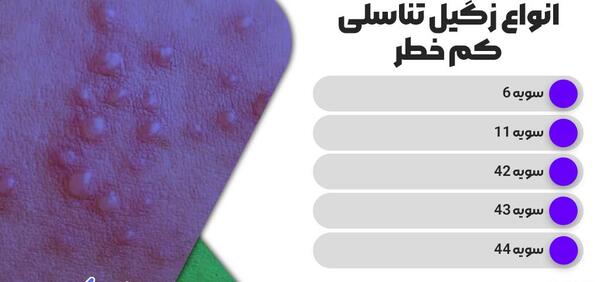 عکس زگیل تناسلی کم خطر در مردان