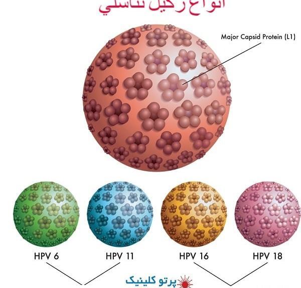 عکس زگیل تناسلی کم خطر در مردان