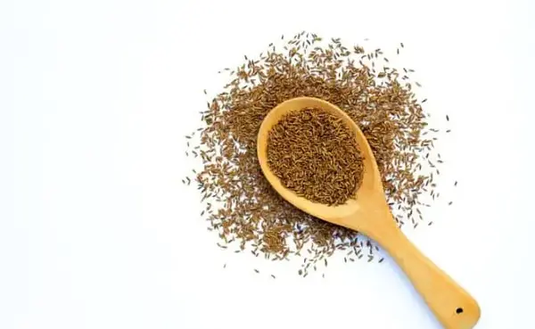 عکس زنیان خشک
