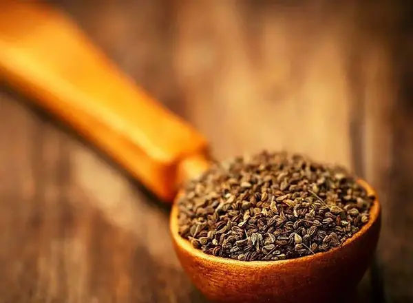 عکس زنیان خشک