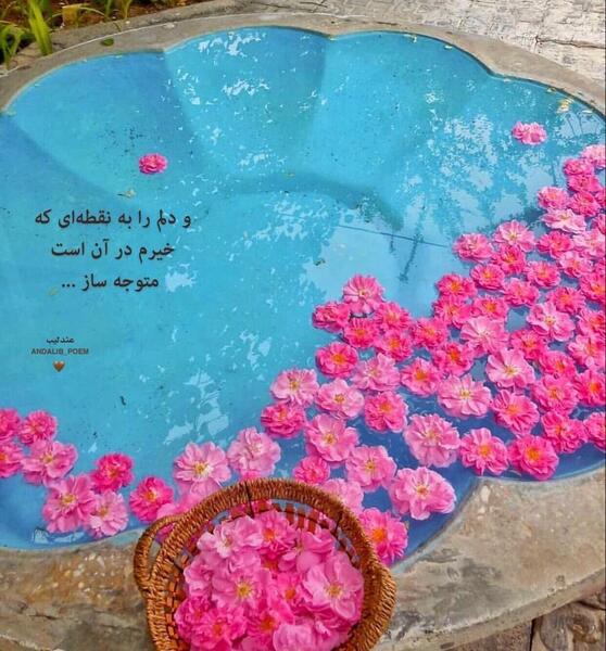 عکس پروفایل روانشناسی مثبت