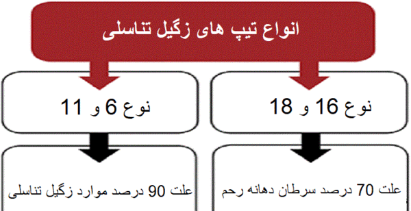 عکس زگیل تناسلی زنان در کشاله ران