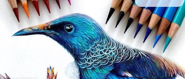 عکس نقاشی دختر سخت با مداد رنگی