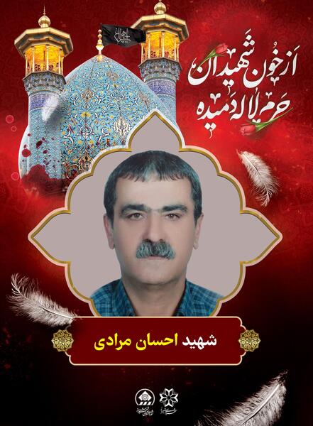 عکس از حرم حضرت شاهچراغ