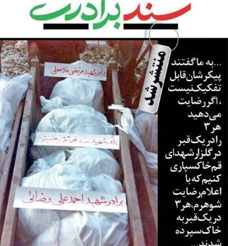 عکس قبر مهرشاد شهیدی