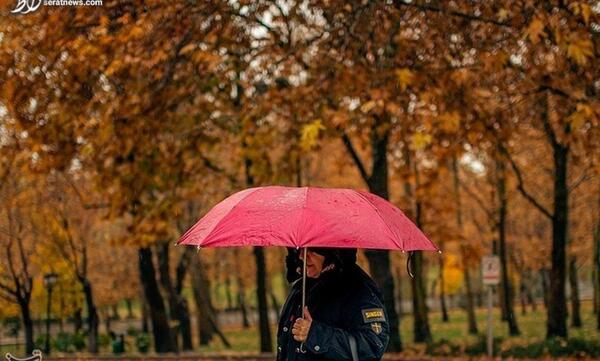 عکس بارش باران در پاییز