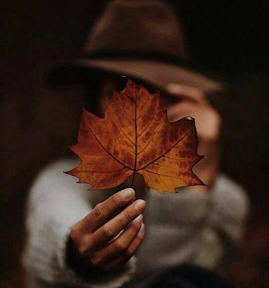 عکس پس زمینه ساده و زیبا پاییزی