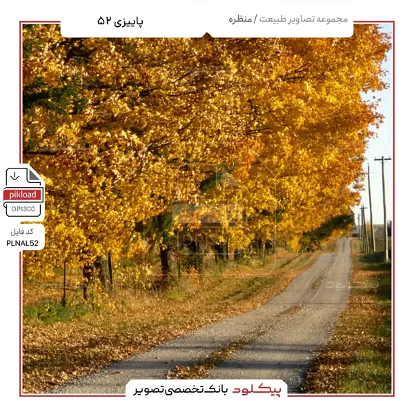 عکس مناظر زیبای پاییزی