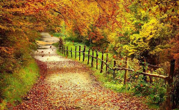 عکس مناظر زیبای پاییزی
