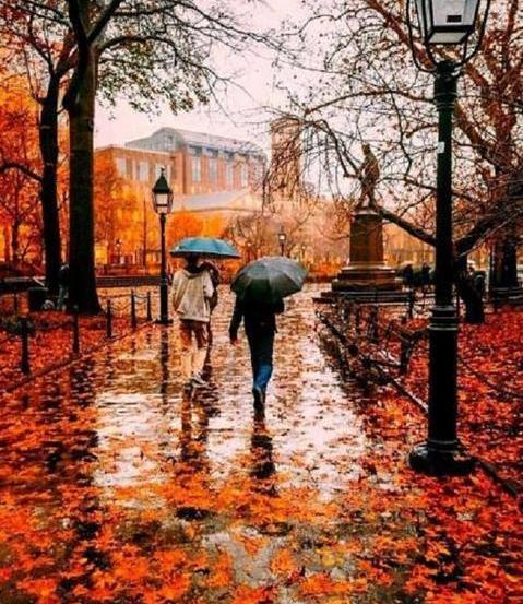 عکس منظره زیبای پاییزی