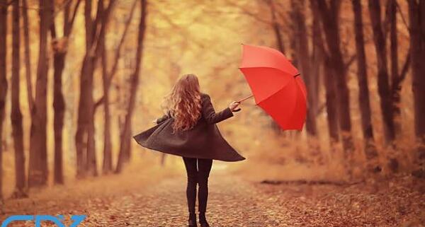 عکس منظره زیبای پاییزی
