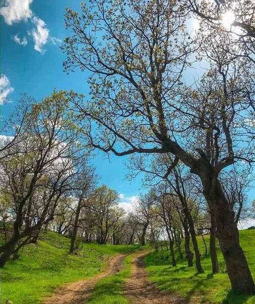 عکس منظره زیبای پاییزی