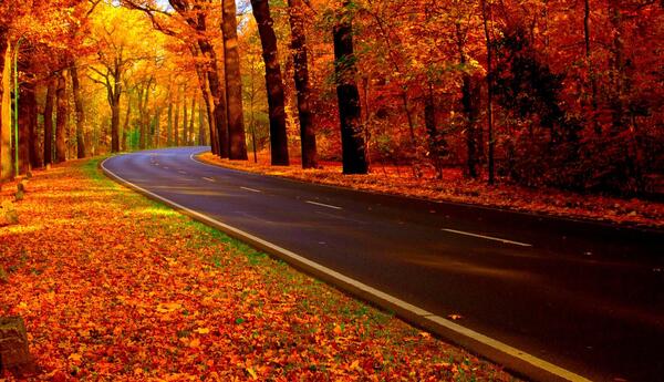 عکس زیبا پاییز برای پروفایل