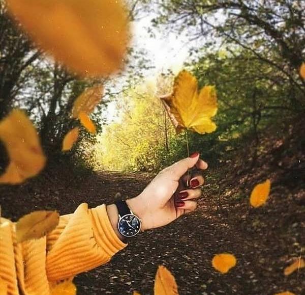 عکس دست دختر پاییزی