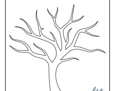 عکس یک درخت پاییزی