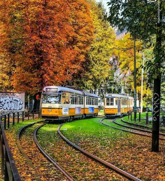 عکس یک روز پاییزی