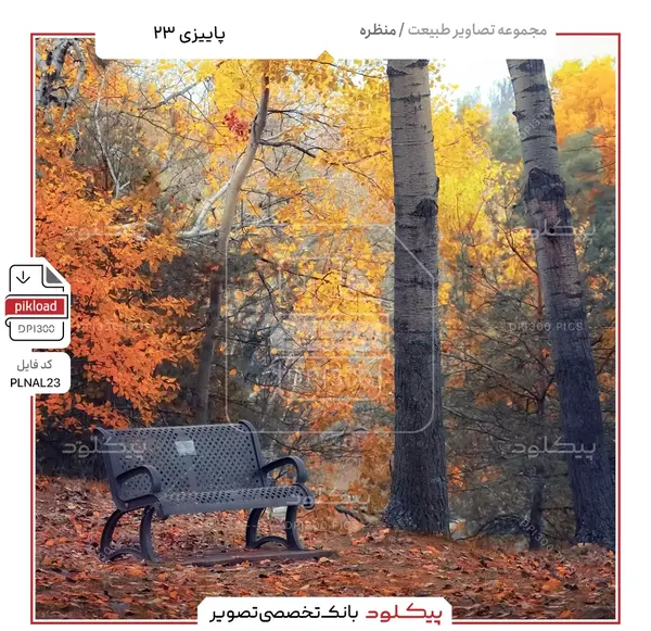عکس یک منظره پاییزی
